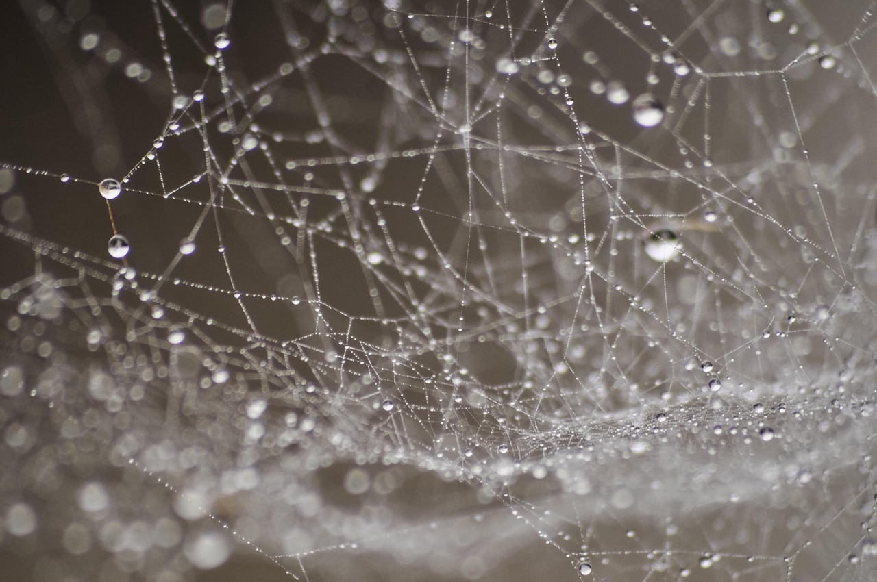 Tips for an effective web designing