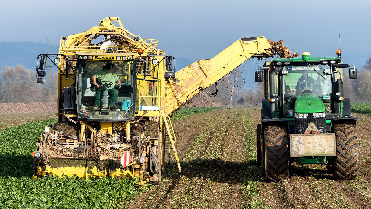 Turnip, vegetables, harvest — USB Type C Has Numerous Benefits